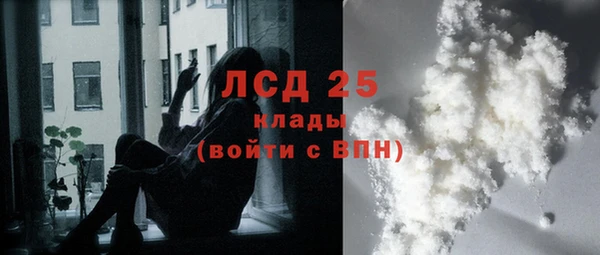 ПСИЛОЦИБИНОВЫЕ ГРИБЫ Алексин