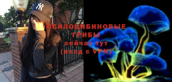 спайс Алексеевка