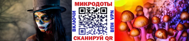 как найти закладки  Берёзовский  Псилоцибиновые грибы Magic Shrooms 